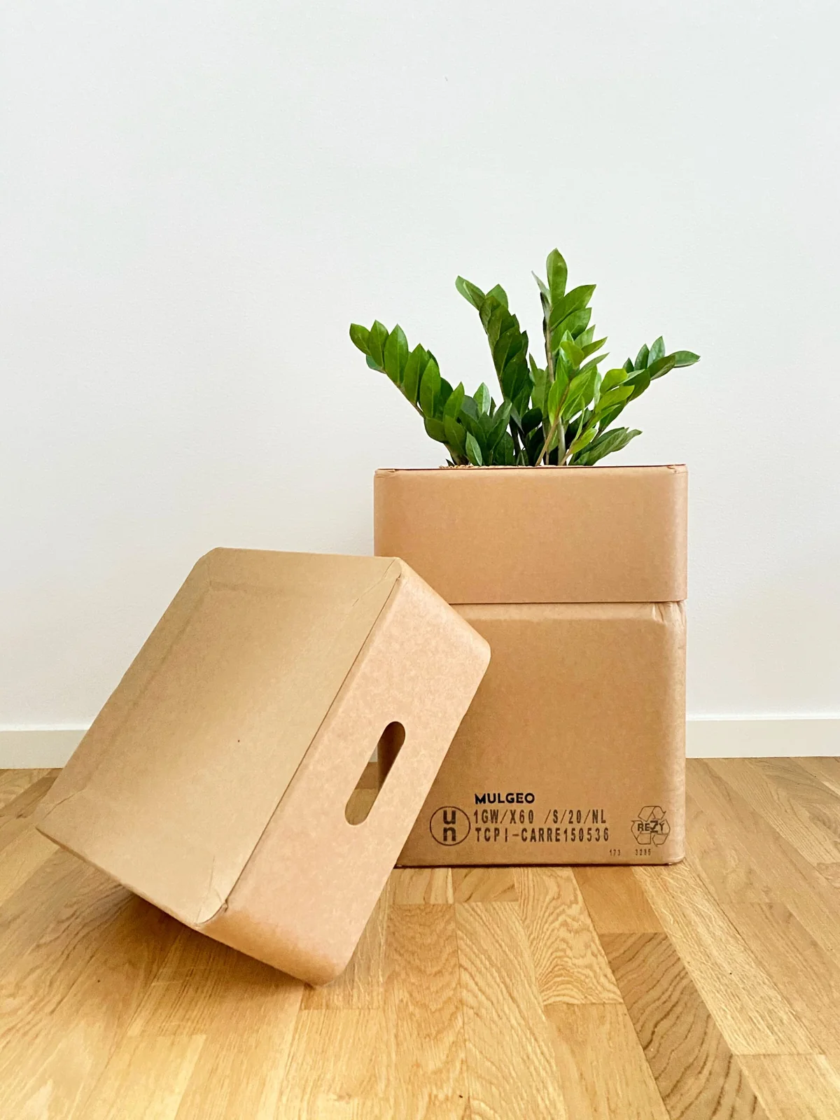 MULGEO Box-Chair H46 Nature - Imagen 4